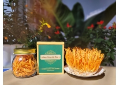 Đông trùng hạ thảo khô Đà Lạt - 15gr/hủ